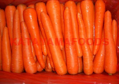 carrot